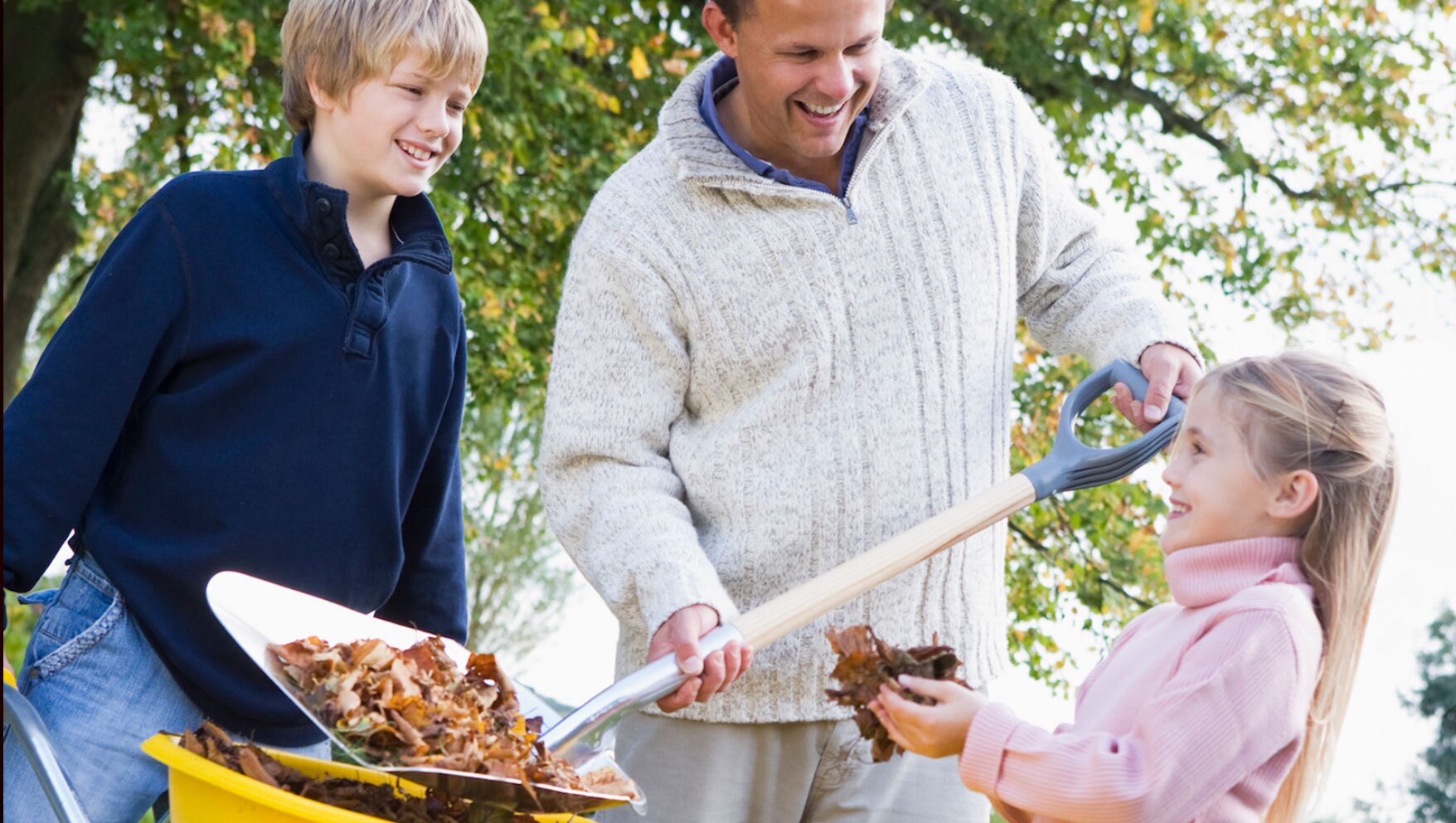 Stock photography - Image