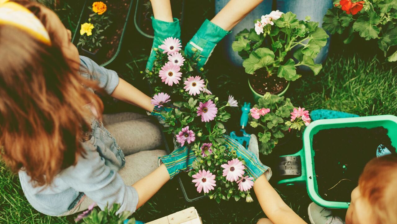 Stock photography - Getty Images