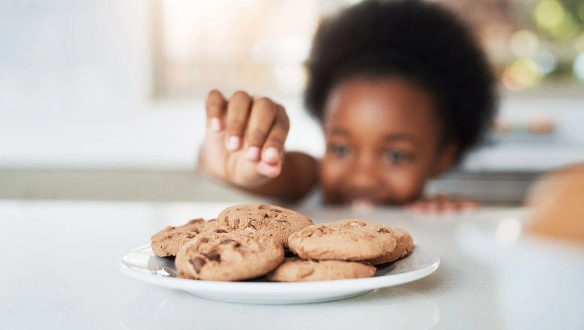 Chocolate Chip Cookie - Biscuit