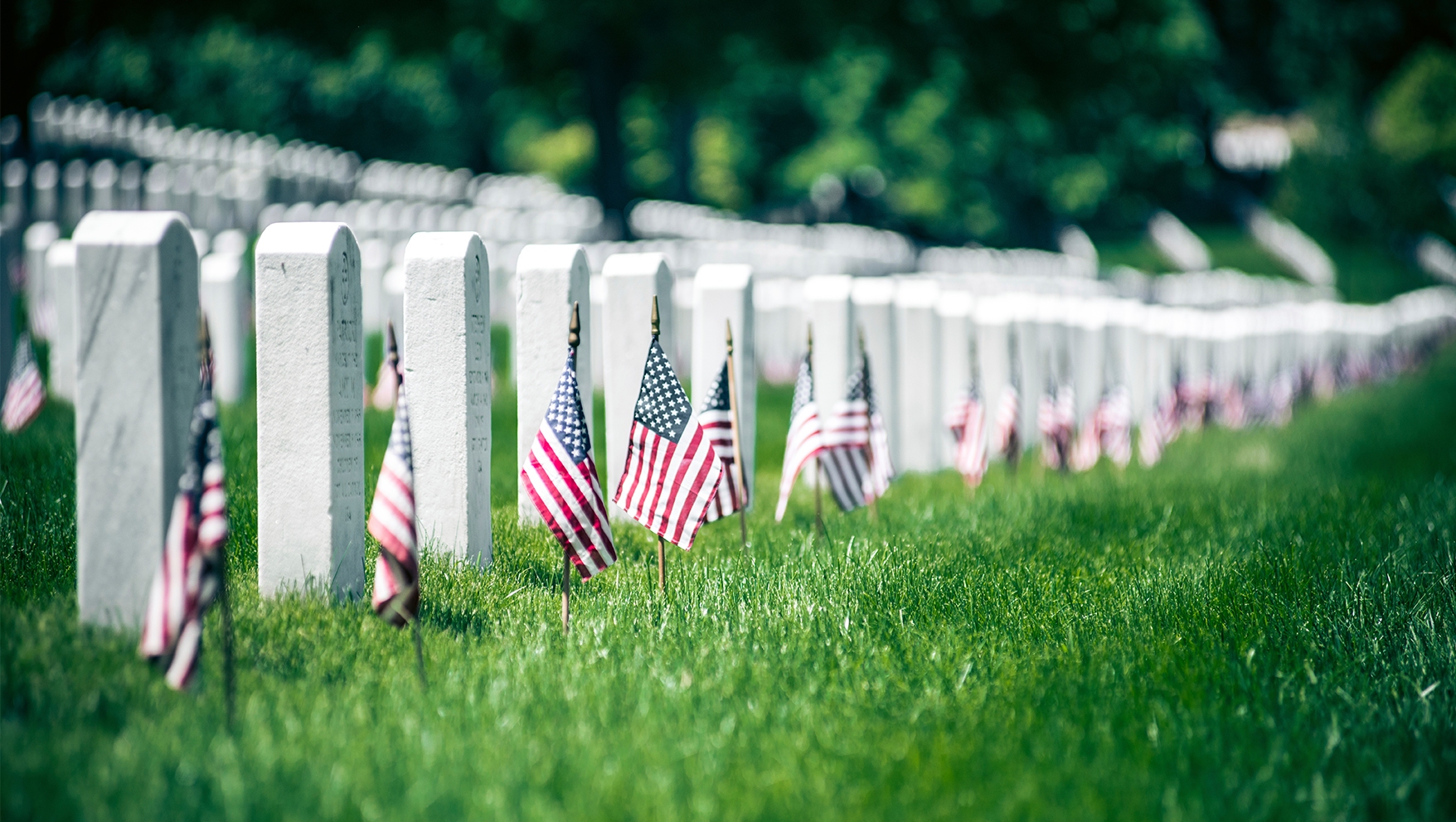 Arlington National Cemetery - Cemetery